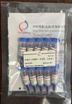 4×蛋白上樣緩沖（非變性，非還原）