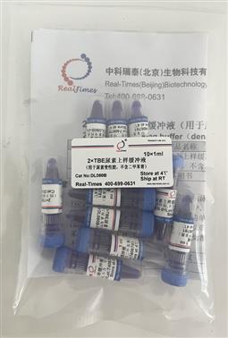 2×TBE尿素上樣緩沖液（用于尿素變性膠，不含二甲苯菁）